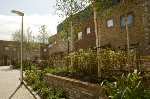 Affordable homes in Lord Graham Mews 1