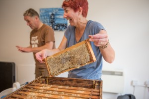 Hale Village Summer Party - honey making