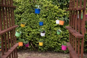 Barnsbury Community Garden Opening